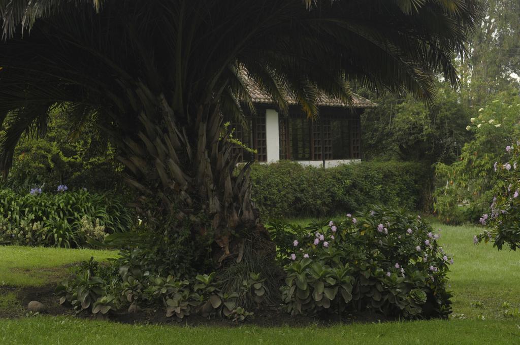 Bed and Breakfast Molino San Juan Cayambe Exteriér fotografie