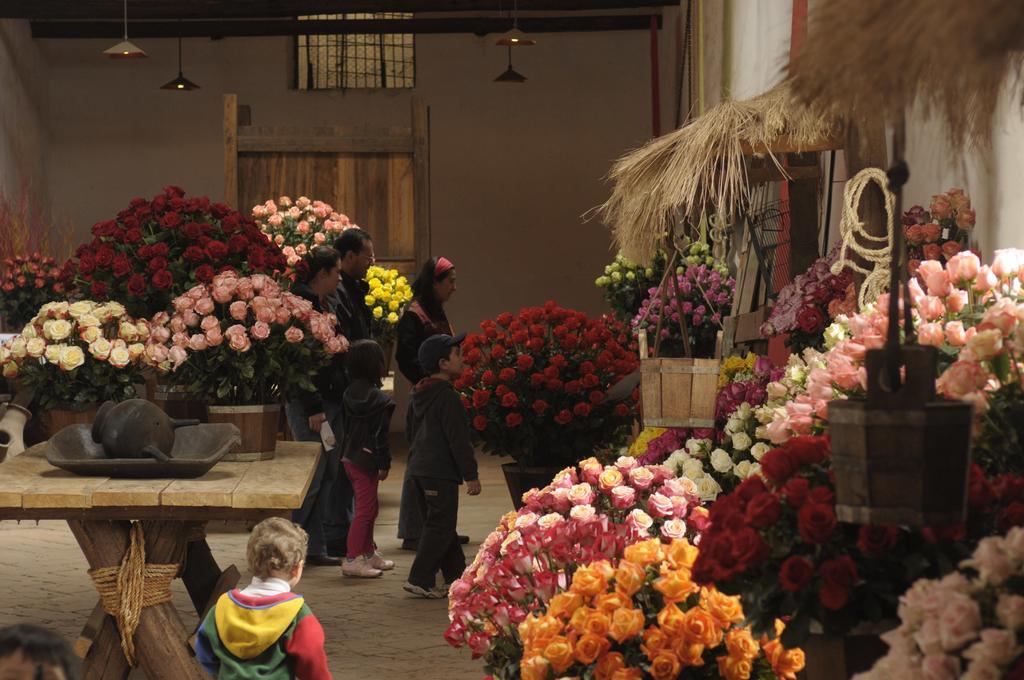 Bed and Breakfast Molino San Juan Cayambe Exteriér fotografie